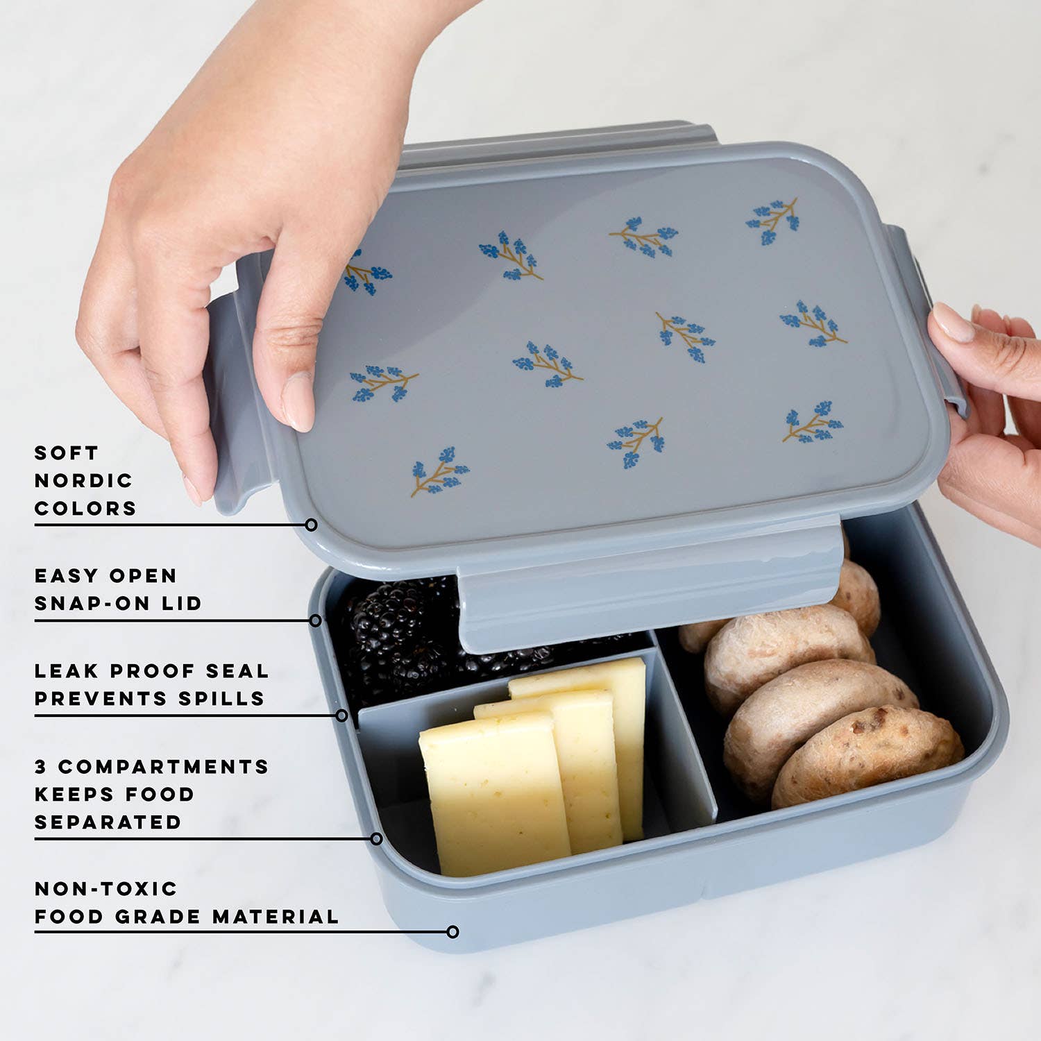 Recycled Plastic Bento Box