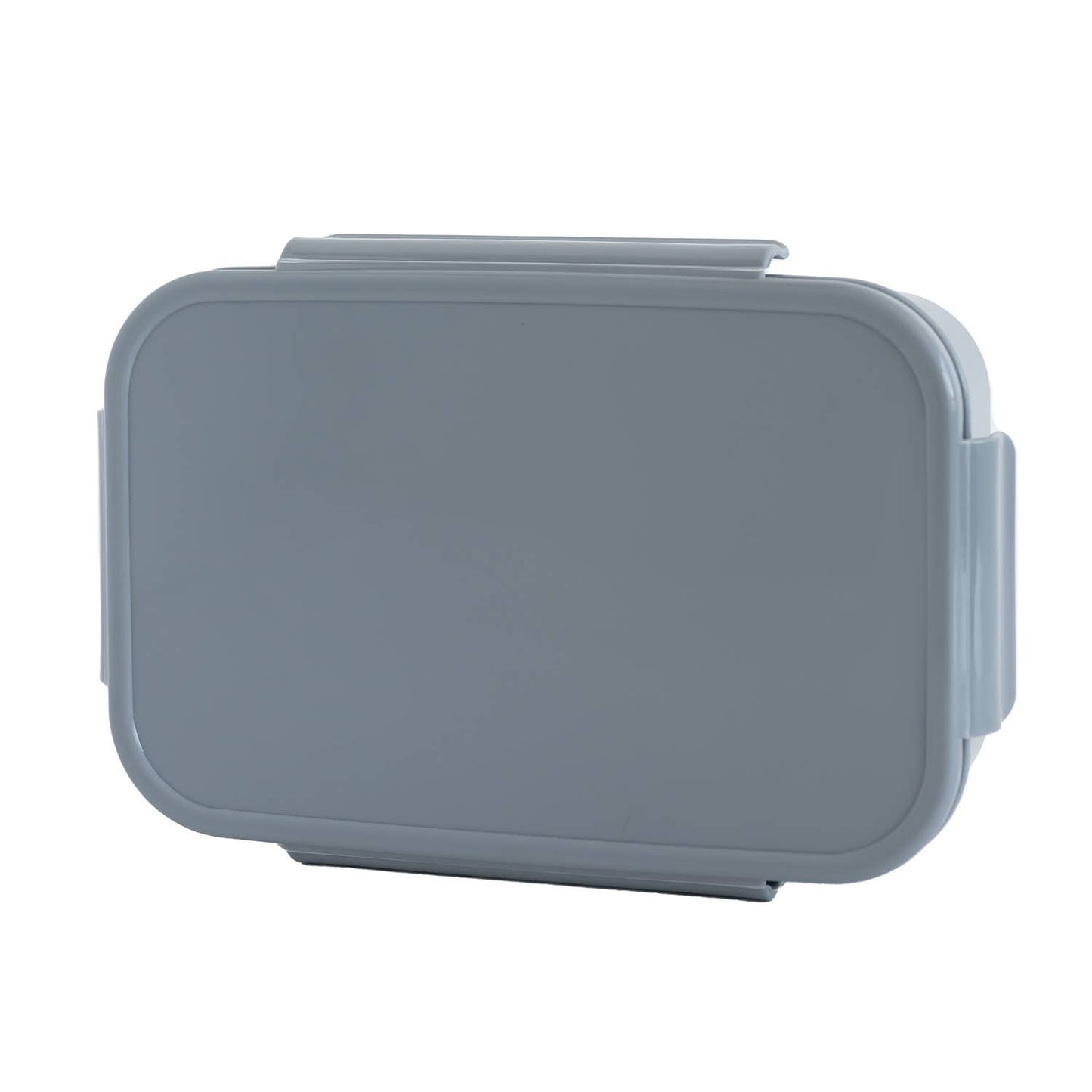 Recycled Plastic Bento Box