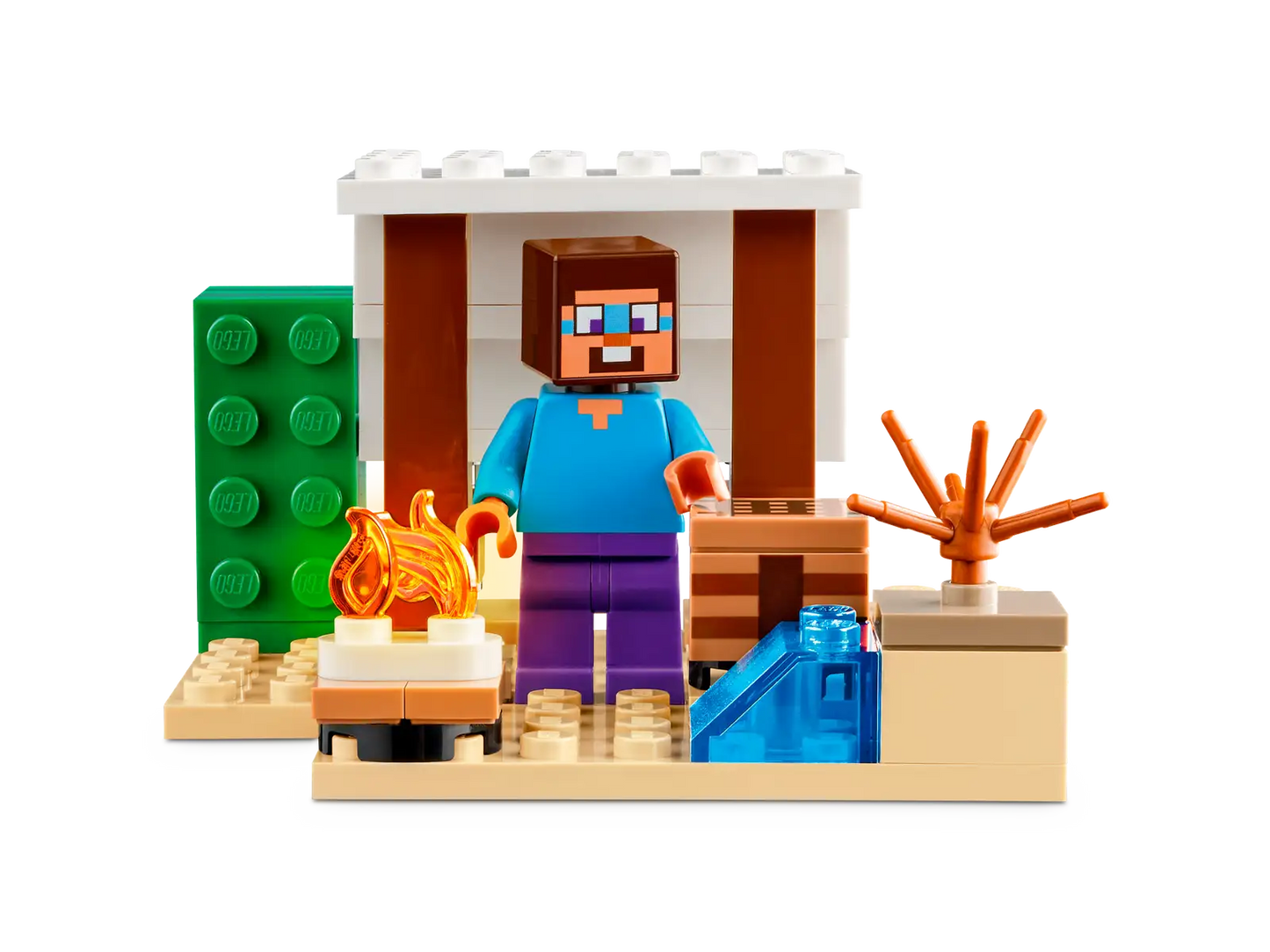 Steve's Desert Expedition