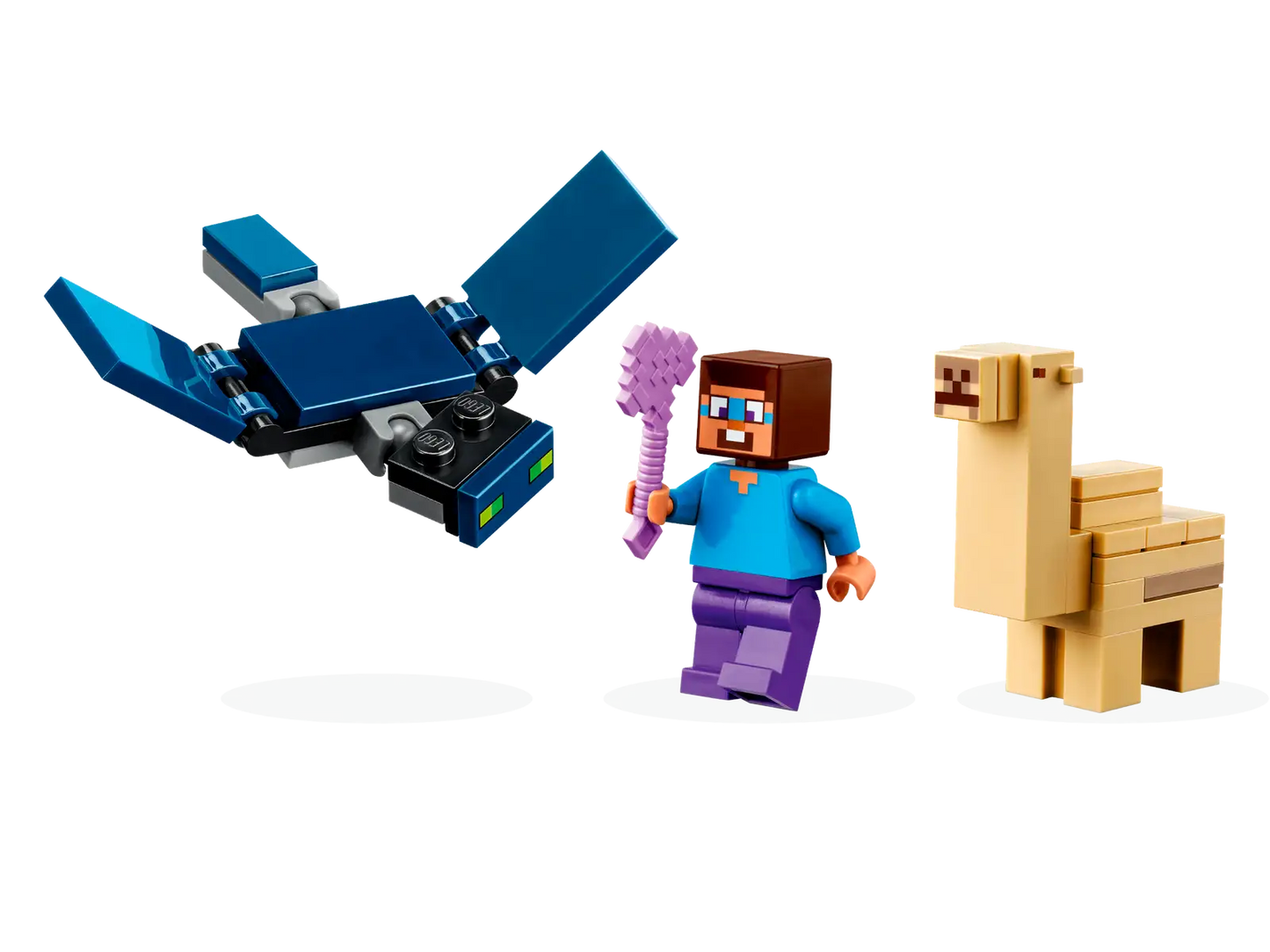 Steve's Desert Expedition