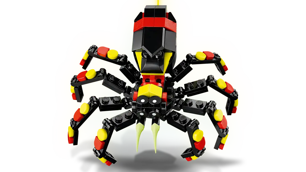 Wild Animal: Surprising Spider