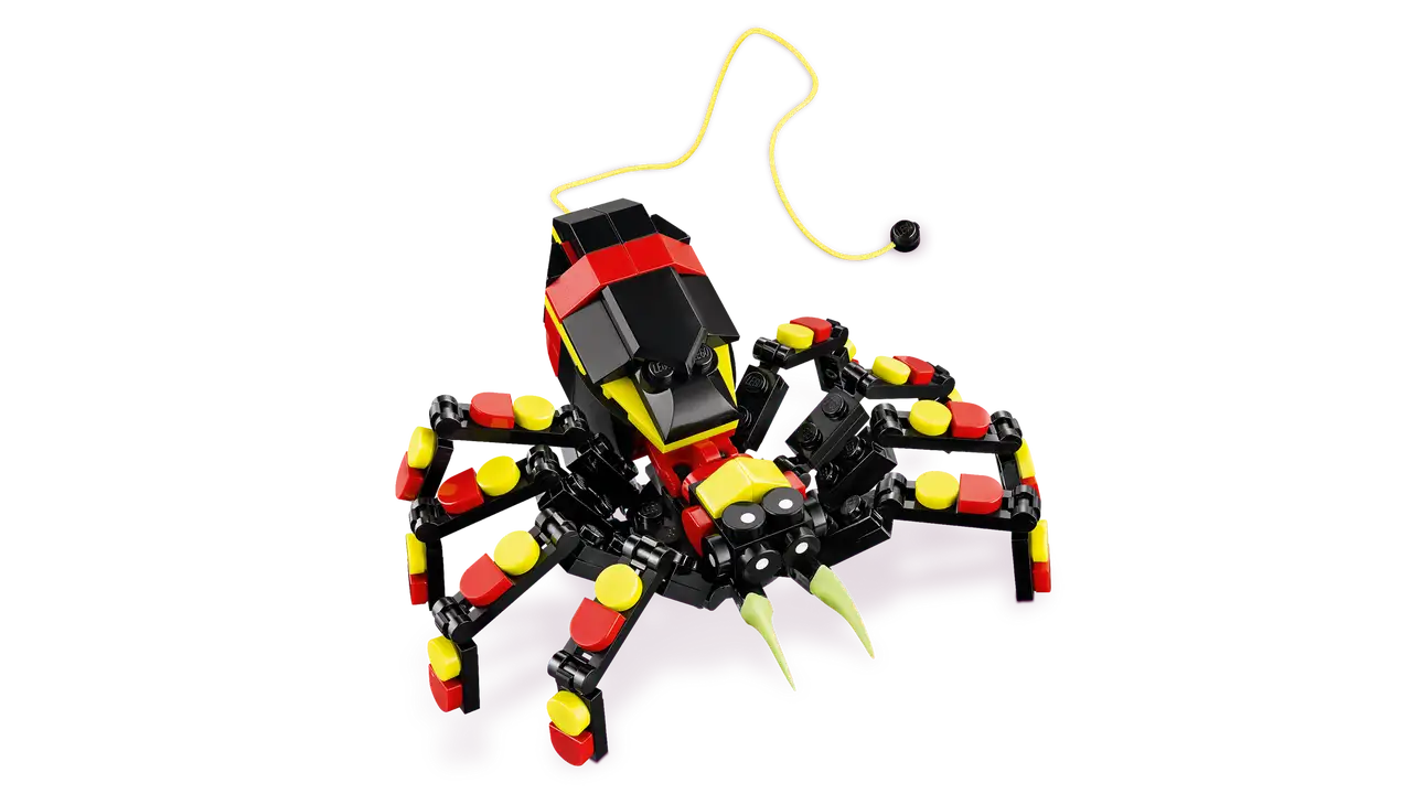 Wild Animal: Surprising Spider