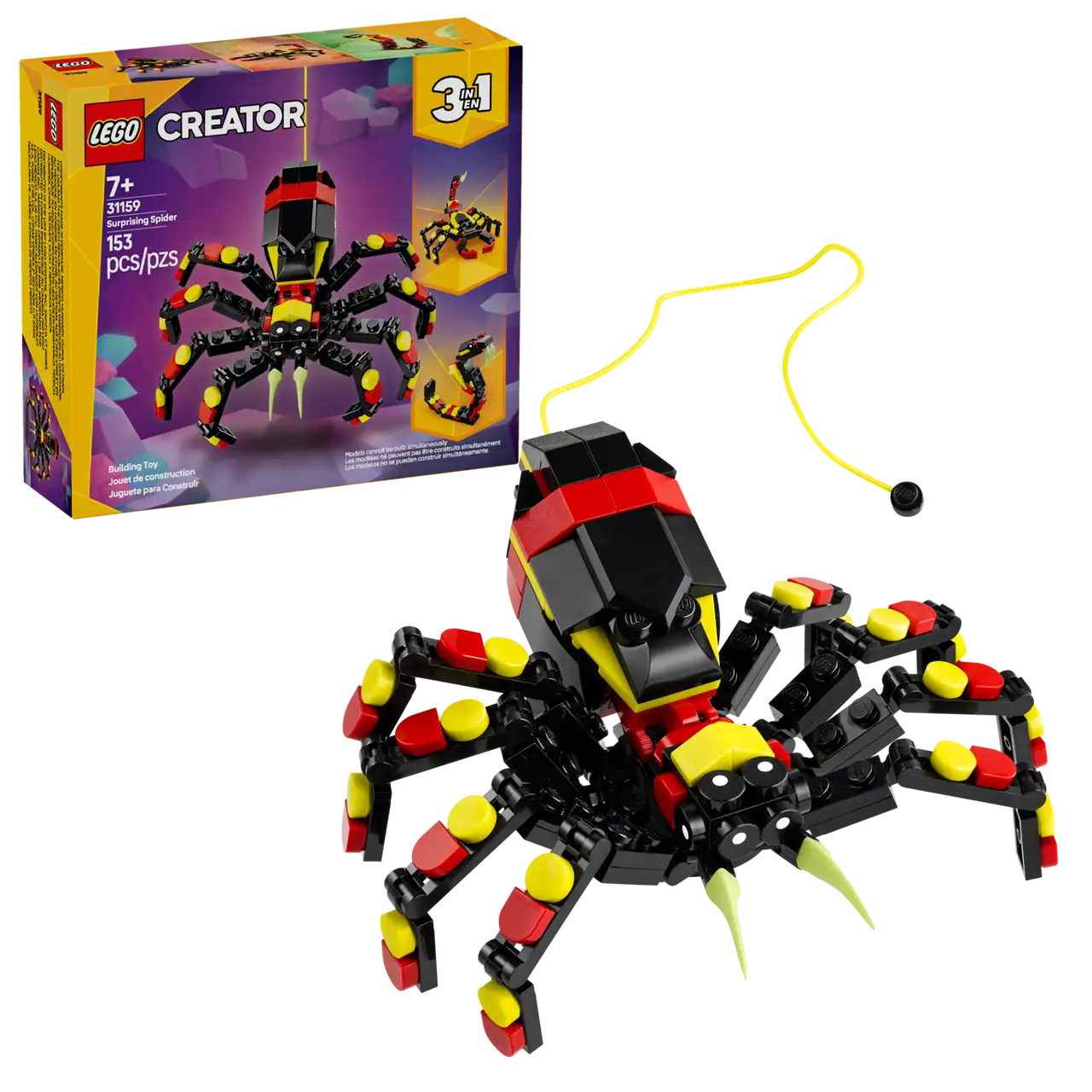 Wild Animal: Surprising Spider
