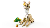 Creator Cute Bunny