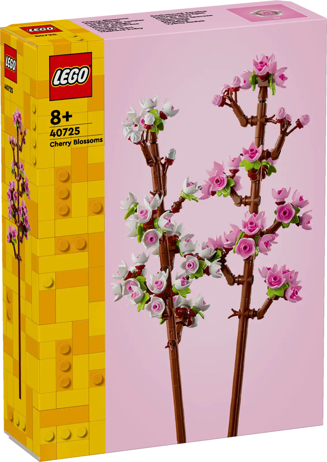 Cherry Blossom