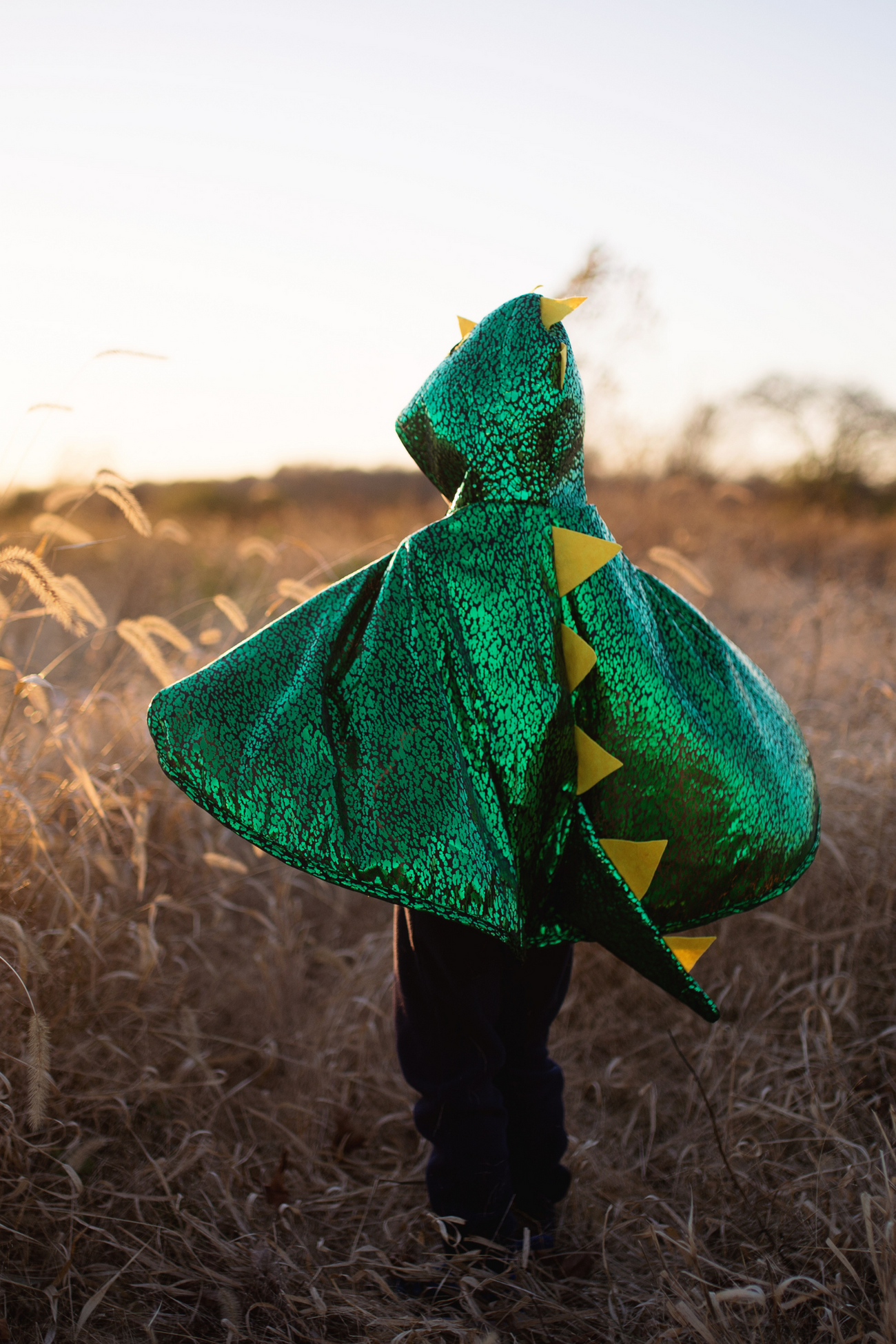 Dragon Toddler Cape