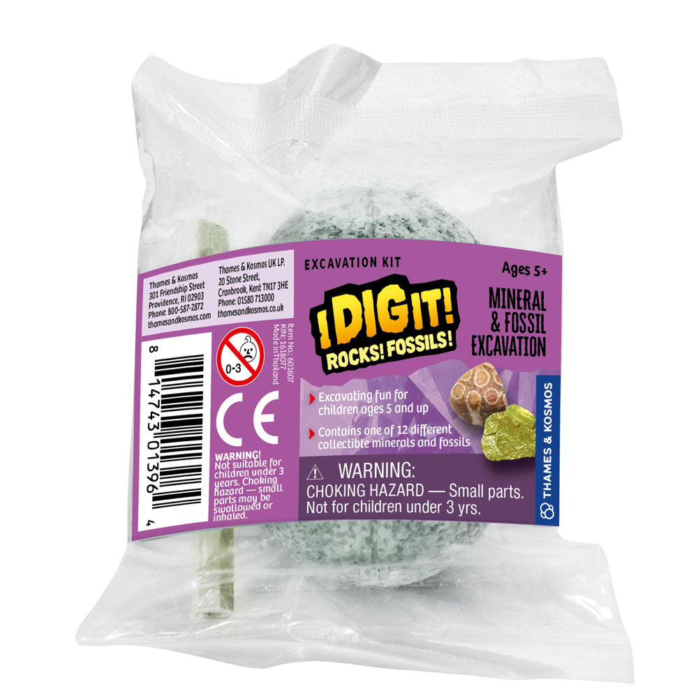 I Dig It! Rocks & Fossils - 24 Mini Excavation Gift Set - 2L STEM Thames & Kosmos