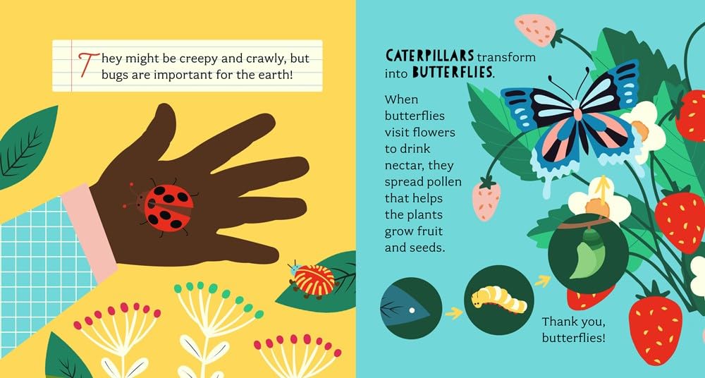 Let's Learn About Bugs: A Color-Changing Bath Book