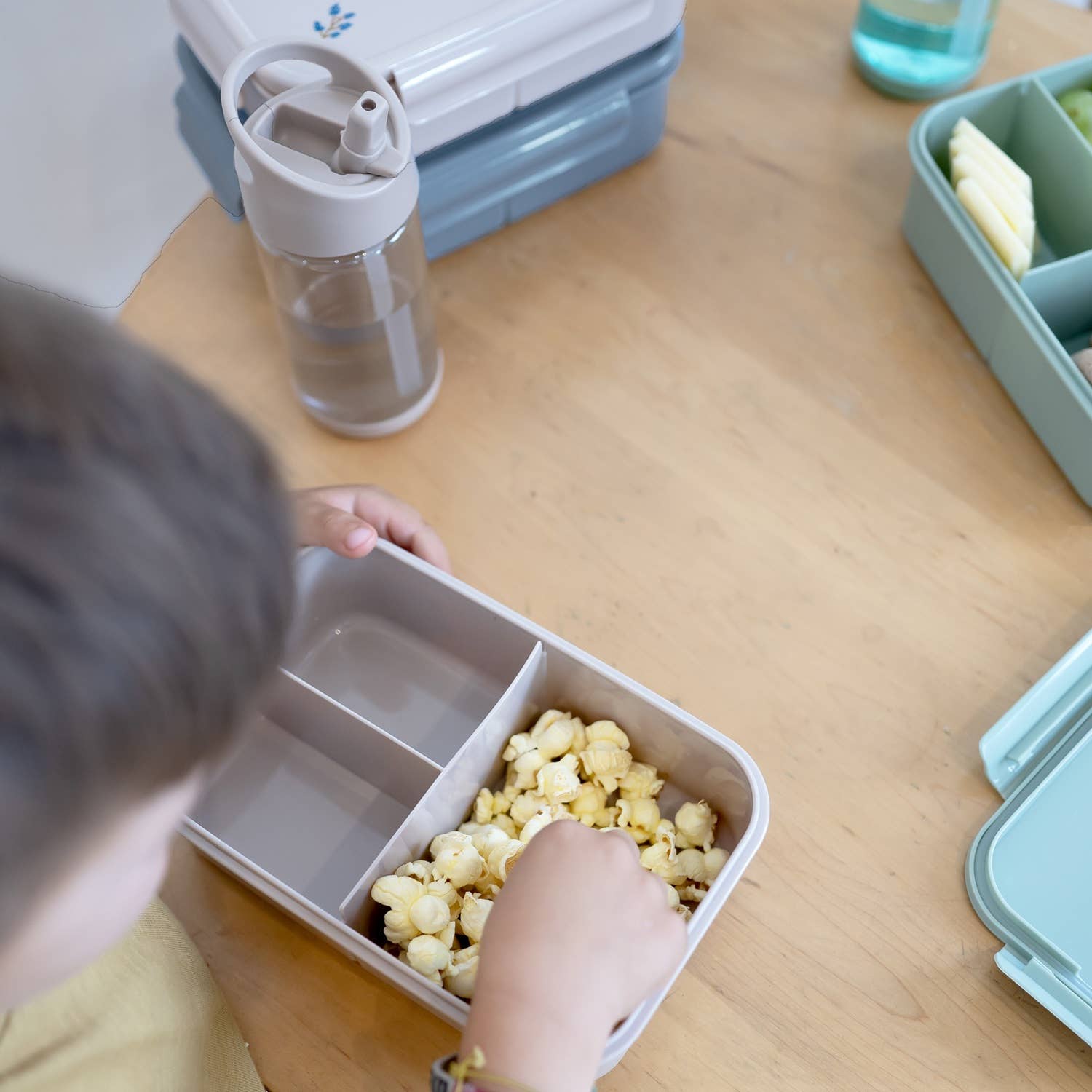 Recycled Plastic Bento Box