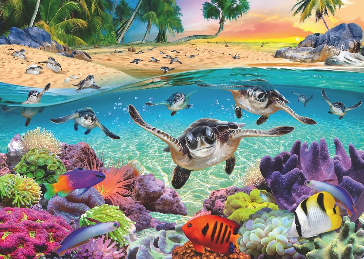 Race of Baby Sea Turtles
