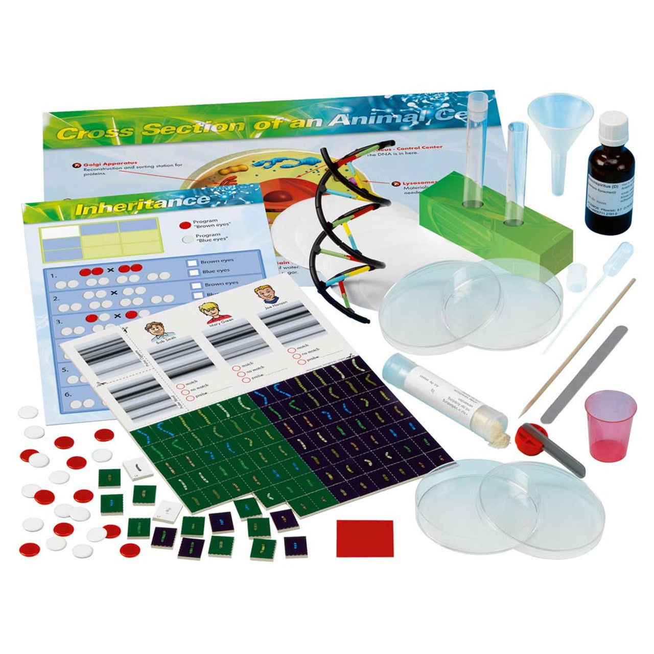 Genetics & DNA Lab