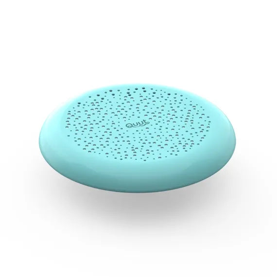 Flying Disc / Sand Sifter