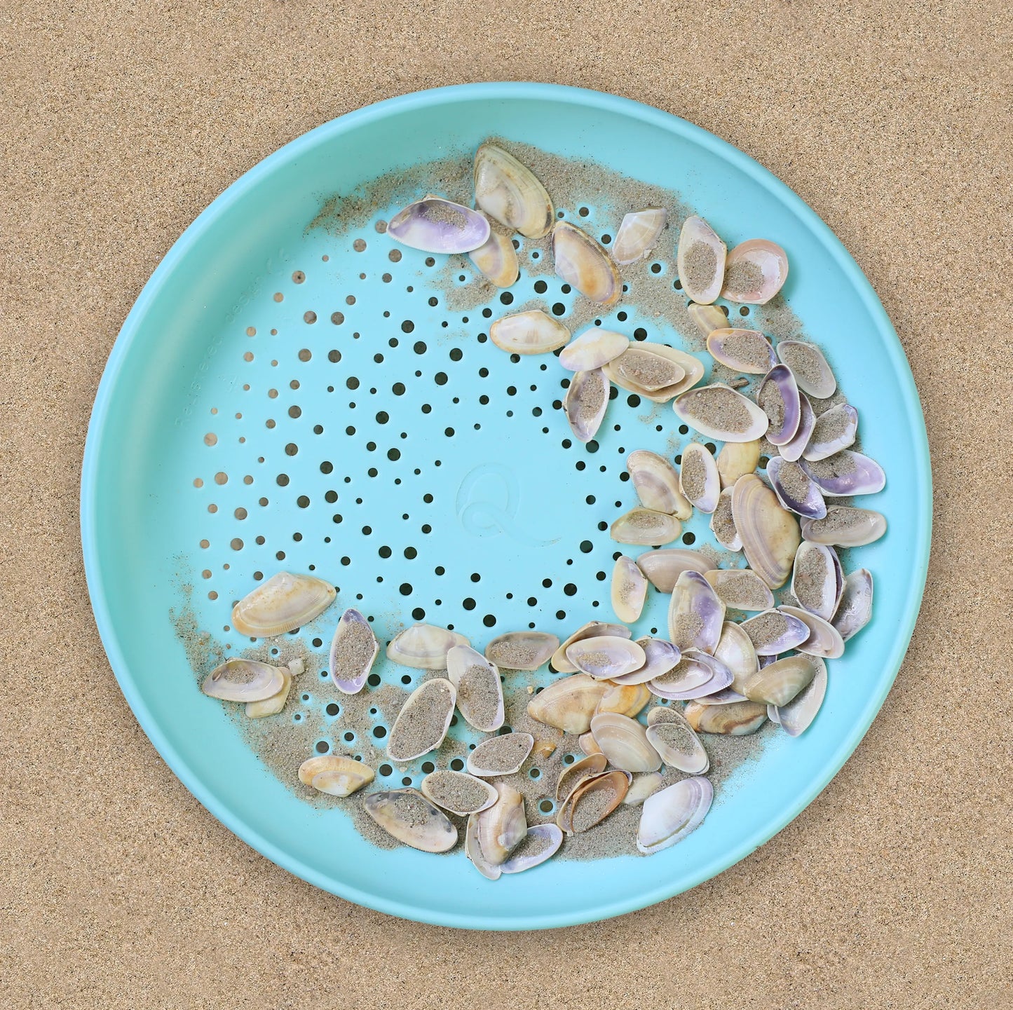 Flying Disc / Sand Sifter