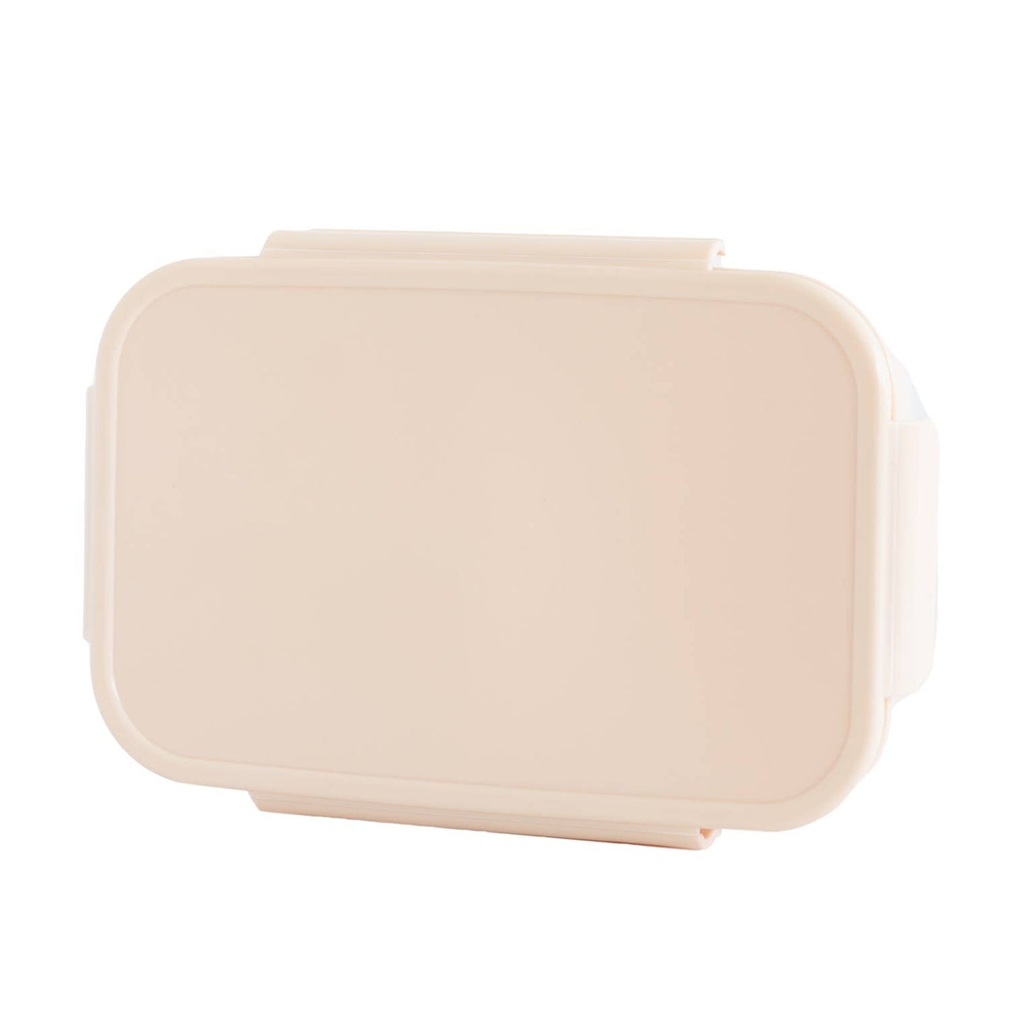 Recycled Plastic Bento Box