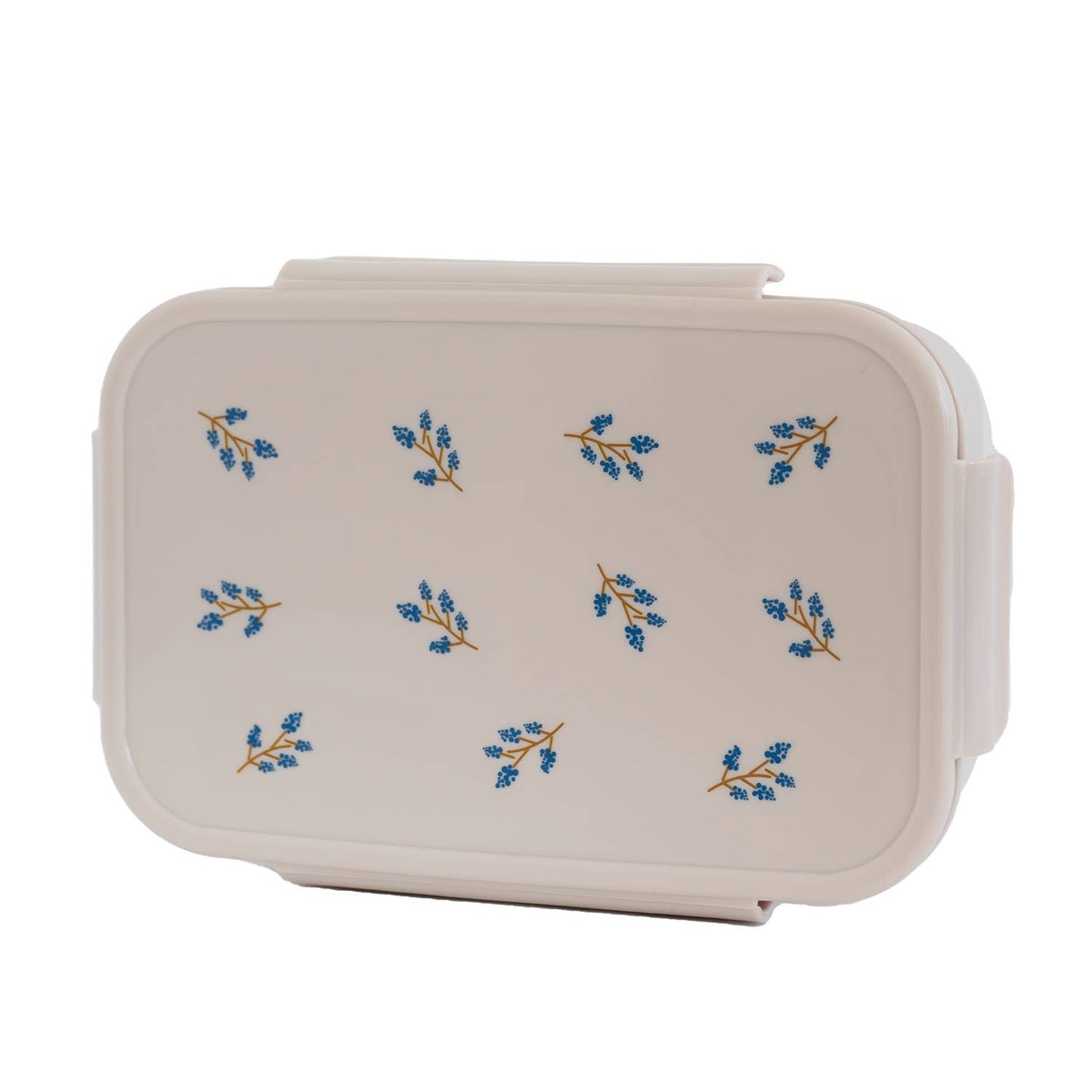 Recycled Plastic Bento Box