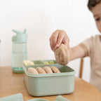 Recycled Plastic Bento Box