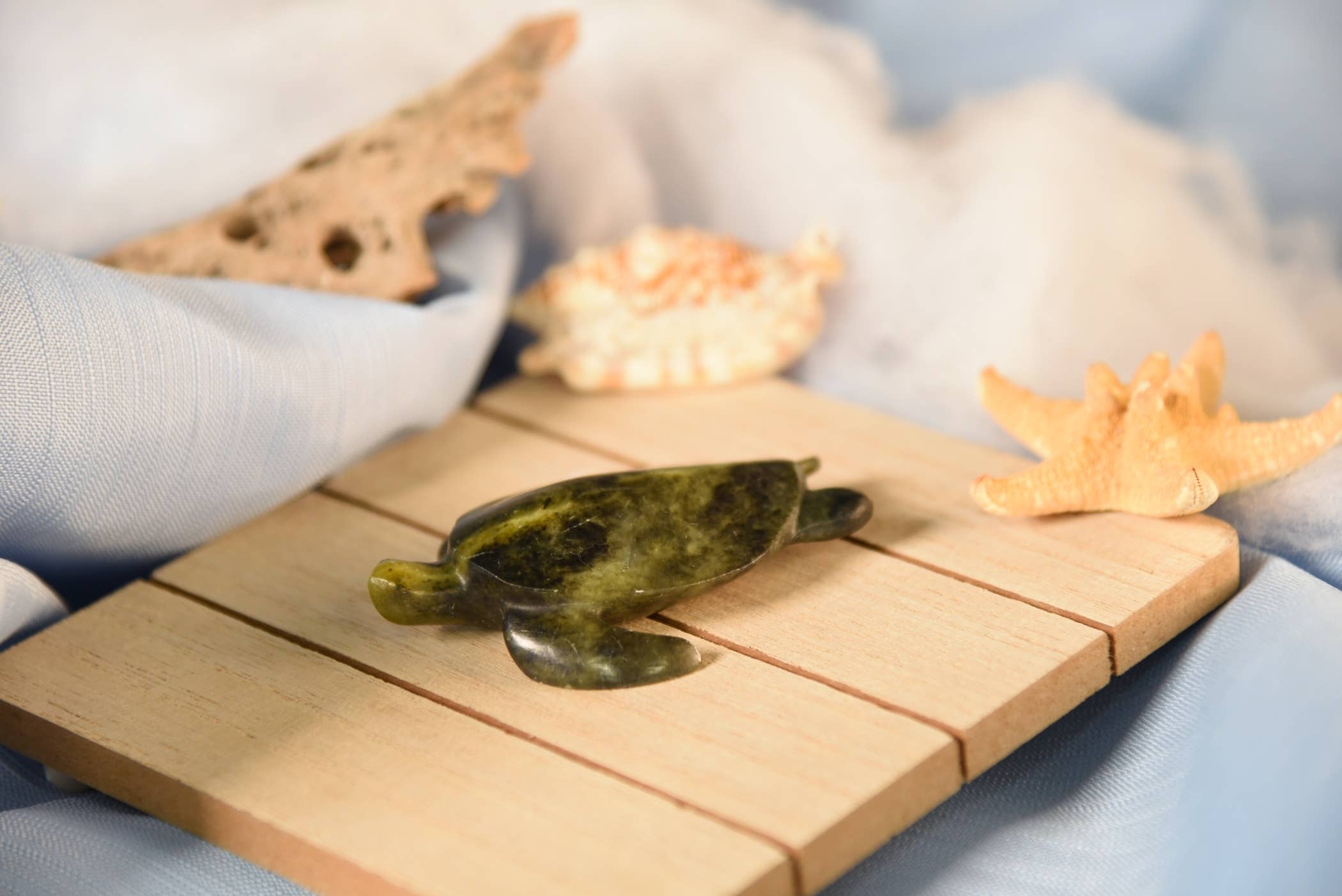 Sea Turtle Soapstone Carving Kit 