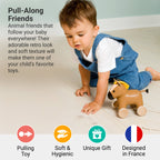 Pull Along Friends - Horse - Toy with Wheel