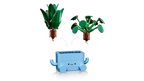 Happy Plants