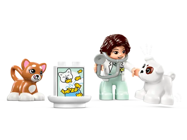 Visit to the Vet Clinic