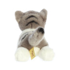 Grey Tabby Kitten 9"