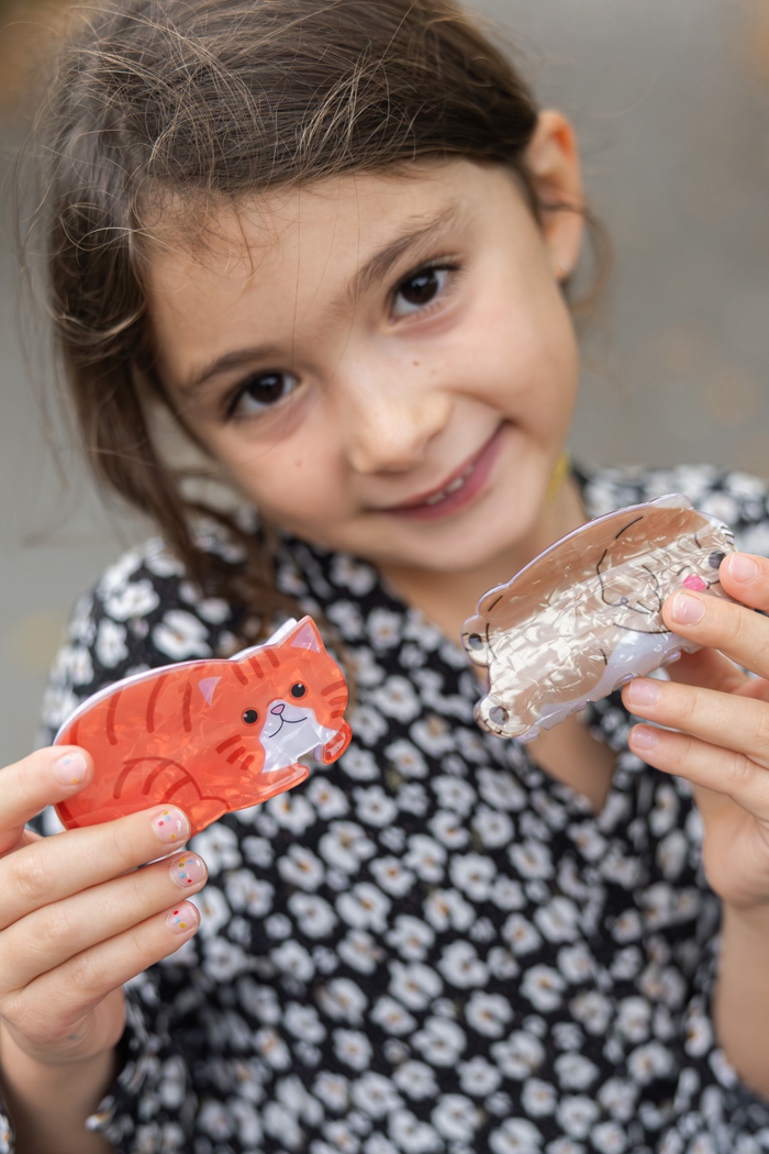 Raining Cats and Dogs Claw Clip Assorted