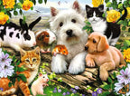Happy Animal Buddies 3x49pc Puzzle