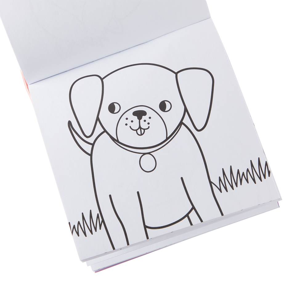 Carry Along Pet Pals Colouring Book