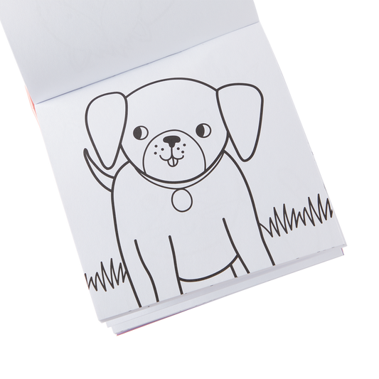 Carry Along Pet Pals Colouring Book