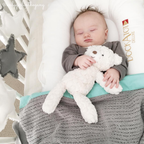 Putty Cream Bear – 11″