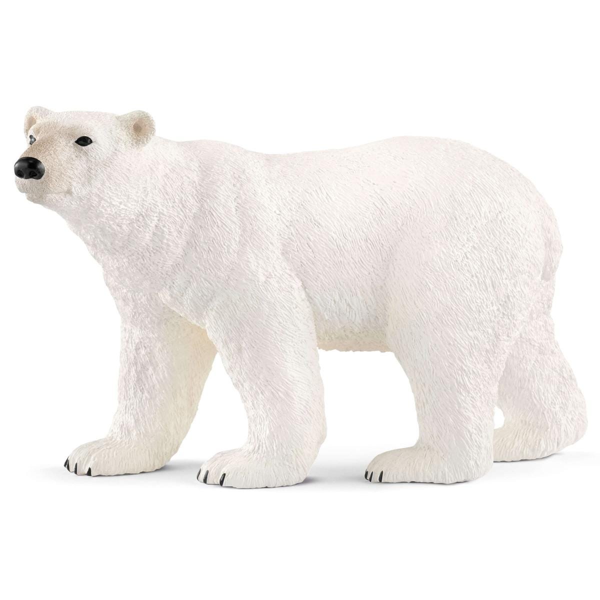  Polar Bear