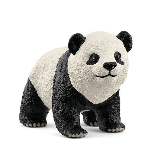  Giant panda