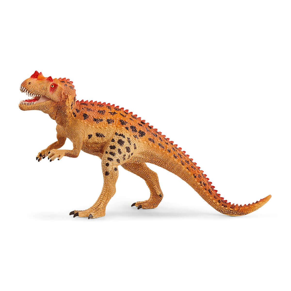  Ceratosaurus