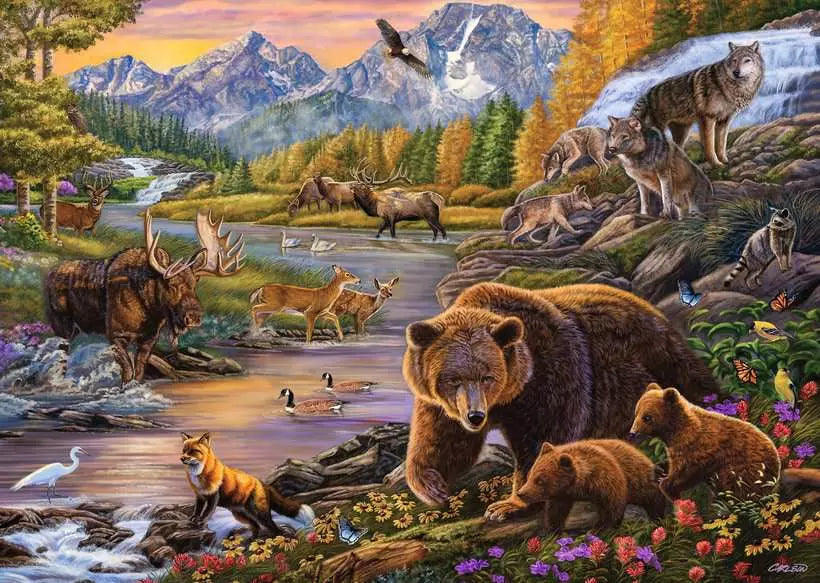 Wilderness 500 Pc Puzz