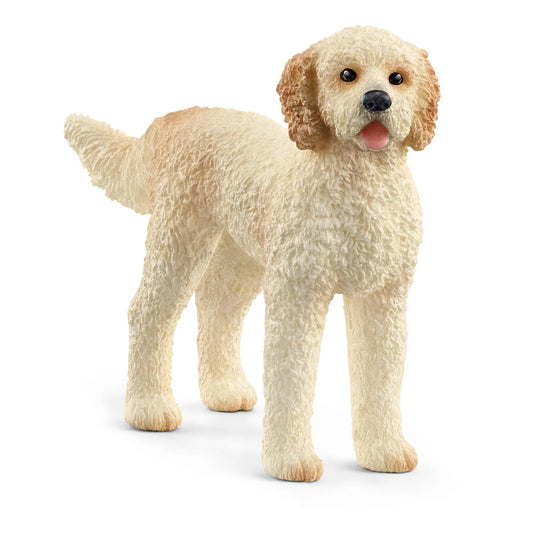 Golden Doodle