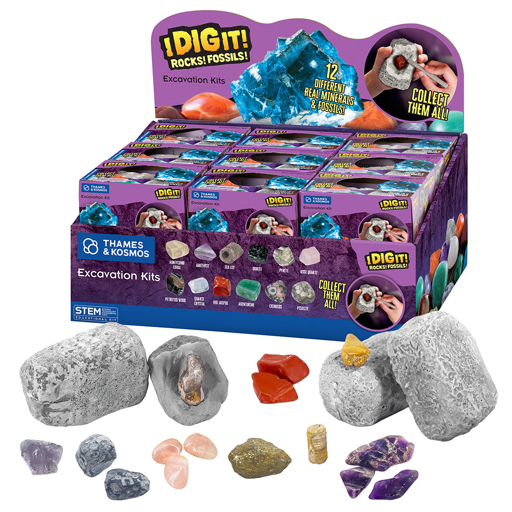 I Dig It! Rocks & Fossils - Mini Excavation