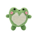 Froggy DIY Crochet Kit