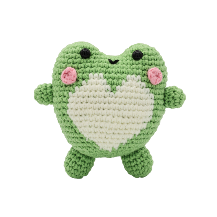 Froggy DIY Crochet Kit