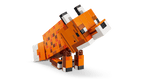 The Fox