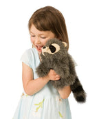 Baby Raccoon