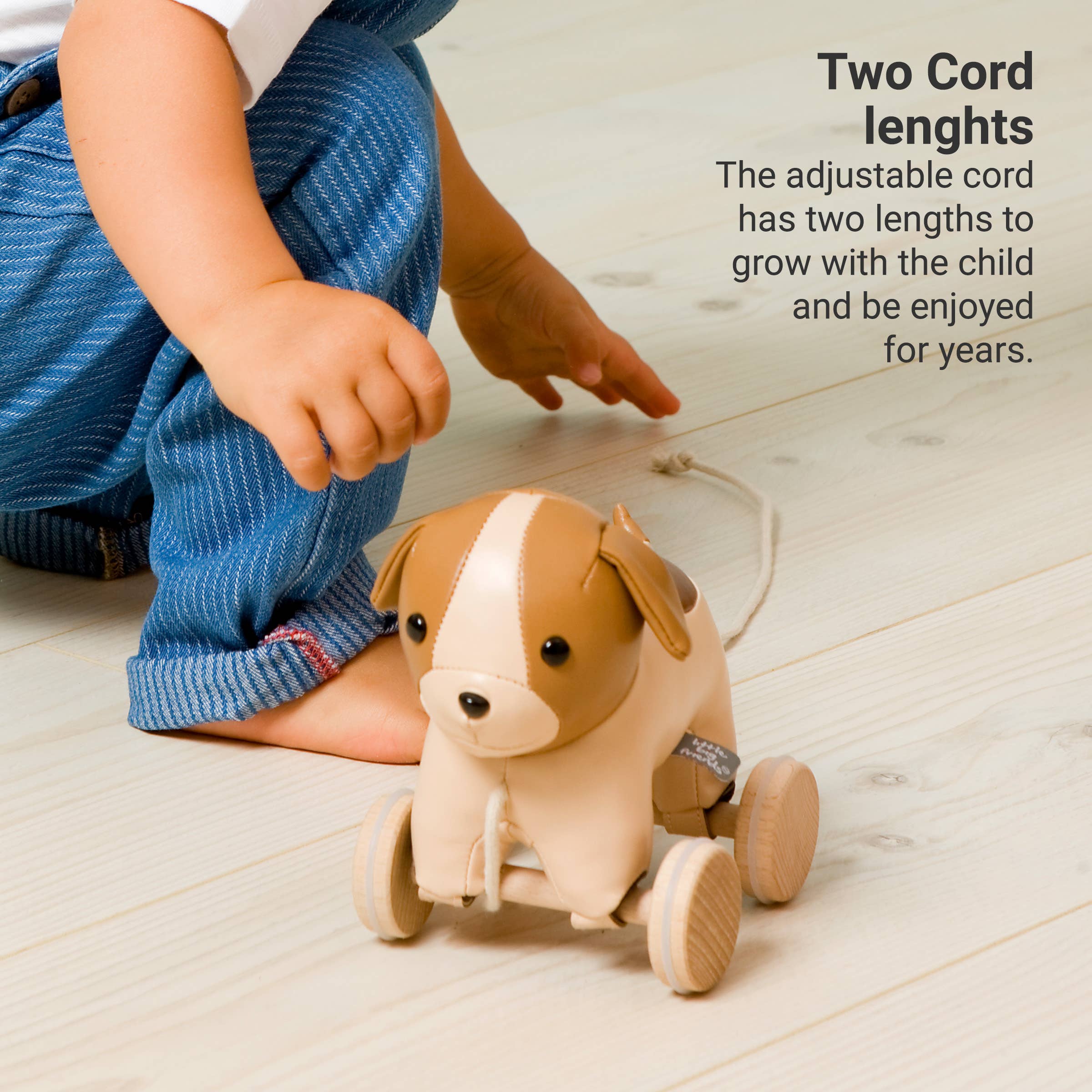 Pull Along Friends - Dog - Toy with Wheels