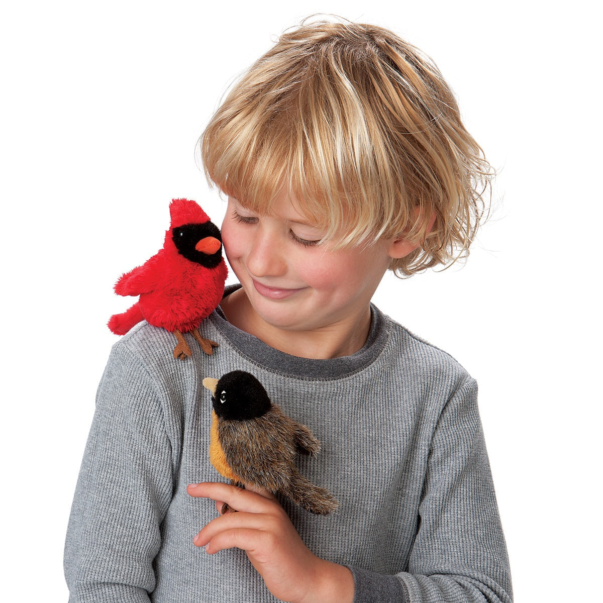 Mini Cardinal