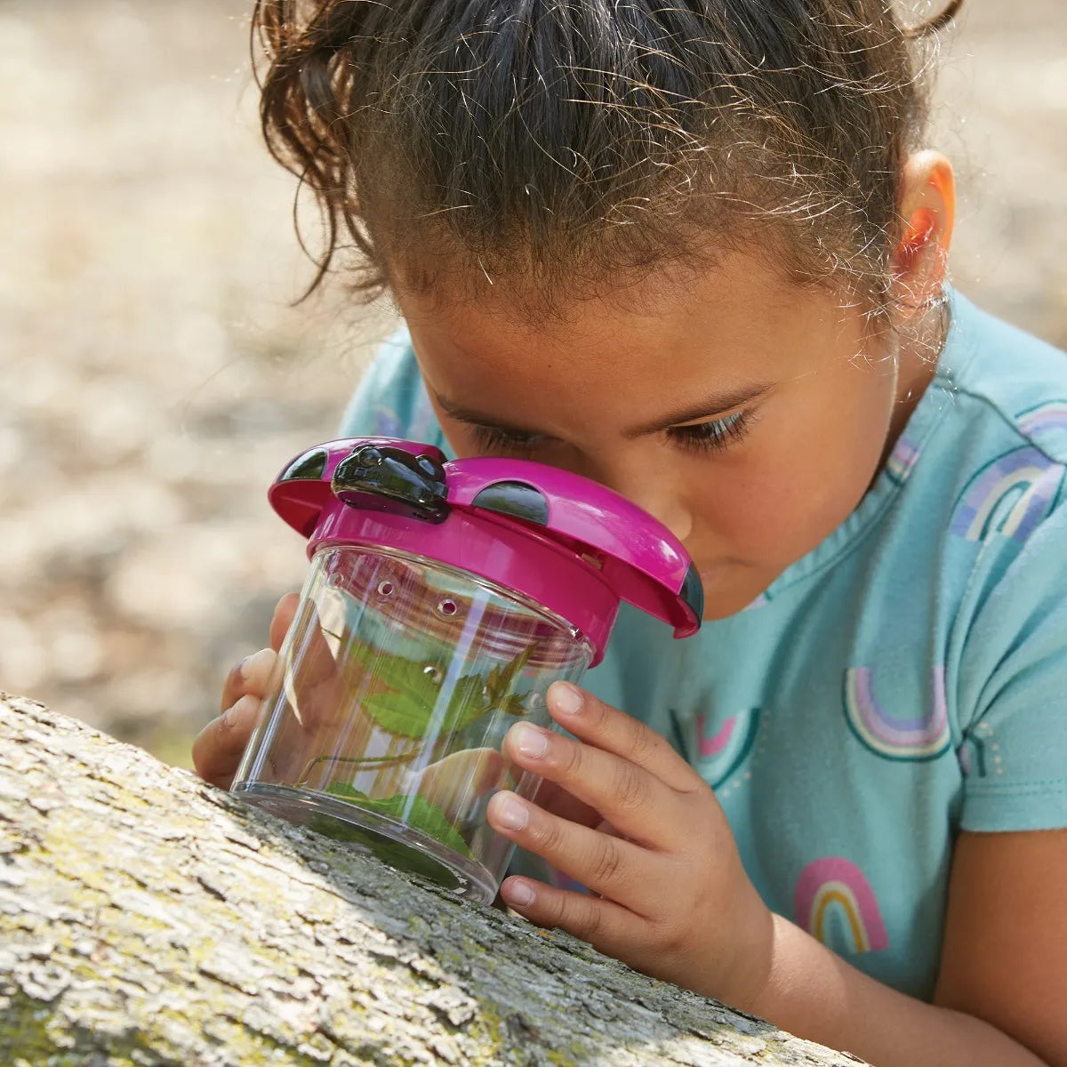 Primary Science Big View Bug Jars