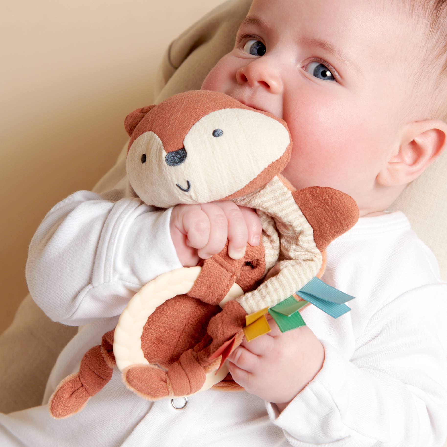 Bitzy Crinkle™ Sensory Toy With Teether