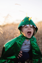 Dragon Toddler Cape