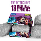 I Dig It! Rocks & Fossils - Mini Excavation (Giftbox)