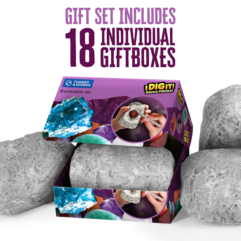 I Dig It! Rocks & Fossils - Mini Excavation (Giftbox)