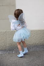 Iridescent Celestrial Fairy Wings, Tutu, Wand