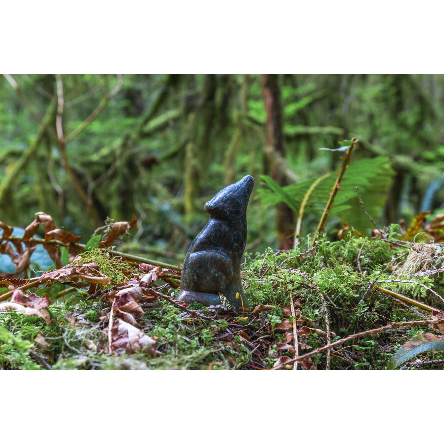 Studiostone Creative Wolf Soapstone Carving Kits