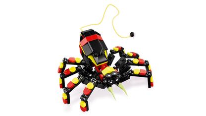 Wild Animal: Surprising Spider